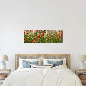 Pipacsok képe (órával) (90x30 cm)