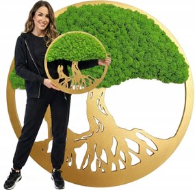 Moha Kép Moha Élő Bonsai Fa Dekoráció