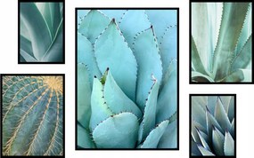 Poszter szett növények kaktuszok botanika kert