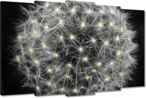 Vászonkép 150x95 Pitypang Virág Virágok