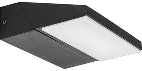 Rabalux 77064 - LED Kültéri fali lámpa SENICA LED/13W/230V IP65 fekete