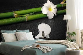 Öntapadó fotótapéta Spa csendélet Jin és  Jang szimbolummal