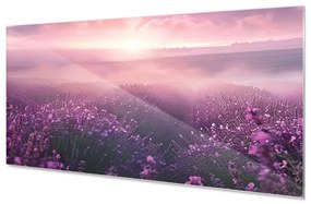 Wallplex konyhahátfal Illatos Levendula (Méret: 60x180)