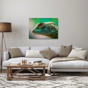 Részletes kép a gyíkról (üvegen) (70x50 cm)