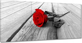 Vászonkép 60x30 Vörös rózsa a fán