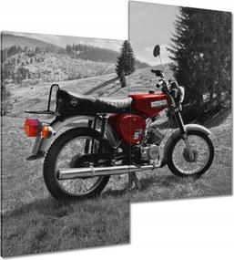 Vászonkép 60x60 Piros Simson S51 E