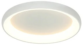 ZAMBELIS-2049 Fehér Színű Mennyezeti Lámpa LED 50W IP20