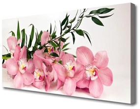 Vászonkép Orchidea virágok Spa 100x50 cm