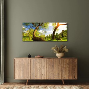 Kép egy tavaszi rétről (120x50 cm)