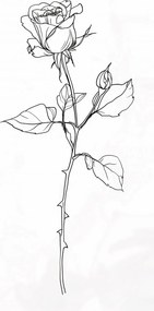 Poszter 50x100cm RĂłzsa kontĂșr