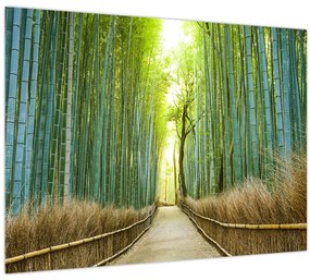 Kép - Sikátor bambuszal (70x50 cm)