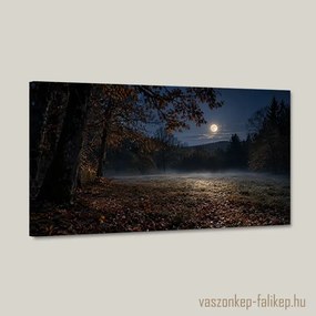 Holdfényes őszi tisztás falikép – prémium nyomat 40x23 cm