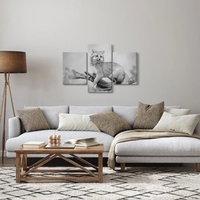 Kép - Szürke róka (90x60 cm)