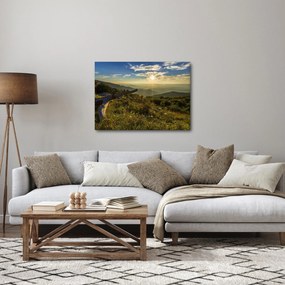 Kép - kilátás a tájra (70x50 cm)