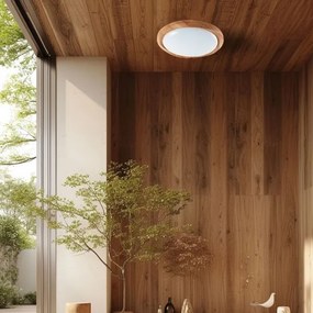 LED Dimmelhető mennyezeti lámpa LED/60W/230V 3000-6500K + távirányító