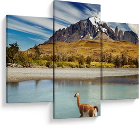 Kép - Torres del Paine Nemzeti Park (90x60 cm)