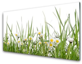Fali üvegkép Grass Nature Daisies 140x70 cm