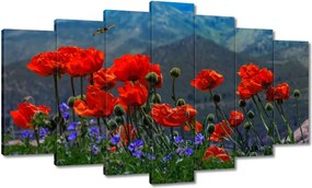 Vászonkép 140x80 Piros pipacs Virágok