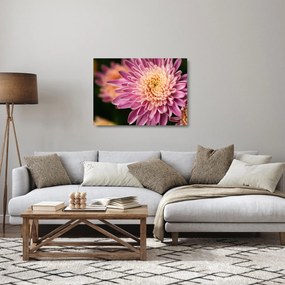 Részletes virágkép (üvegen) (70x50 cm)