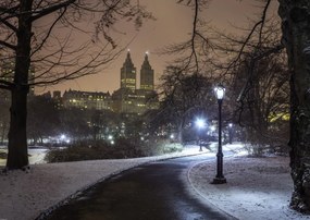 Poszter 84x59,5cm ĂsvĂ©ny a központi parkon ĂĄt, Assaf Frank