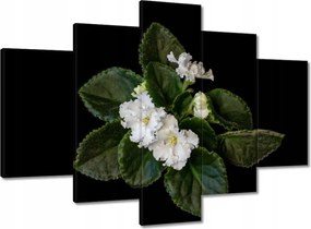 Vászonkép 150x105 Fehér jázminvirág