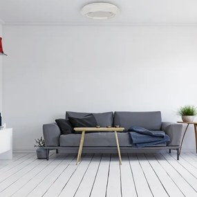 LED Mennyezeti lámpa LULU LED/40W/230V