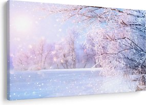 Kép - Fagyos tél (90x60 cm)