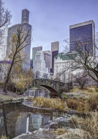 Poszter 42x59,4cm Központi park Manhattan panorámával 2, Assaf Frank