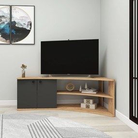 TV szekrény Termera - Atlantic Pine, Anthracite