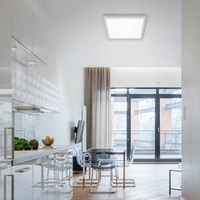 Briloner 7371-014 - LED dimmelhető mennyezeti lámpa LED/24W/230V 3000-6500K+ DO