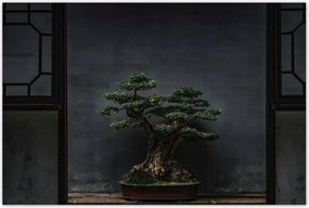 Poszterek 120x80 Bonsai Fa Kultúra