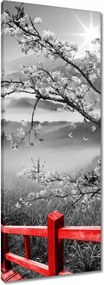 Vászonkép 40x100 Virágzó cseresznye Japán