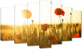 Képek 140x80 Pipacsok napfelkeltekor