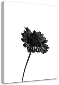 Gario Vászonkép Egyetlen virág Méret: 40 x 60 cm