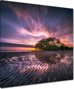 Vászonkép 80x80 Gyönyörű lila tájkép