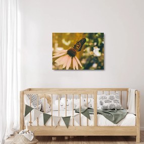 Pillangó képe a virágon (üvegen) (70x50 cm)