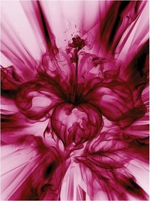 Fotótapéta flizelina Absztrakt Virágok Minták Könnyűség és Stílus 206x275 +ragasztó