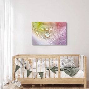 Kép - Cseppek (90x60 cm)