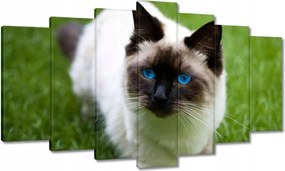 Képek 140x80 Pihenés a fűben