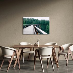 Kép - Híd a fák csúcsán (90x60 cm)