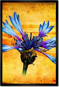 Poszterek keretben 40x60 Chaber