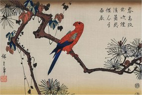 Fotótapéta Flizelin Tapéta Hálószobába és Nappaliba Madár az ágon 104x70