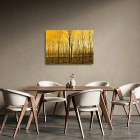Kép - Faültetvény (üvegen) (70x50 cm)