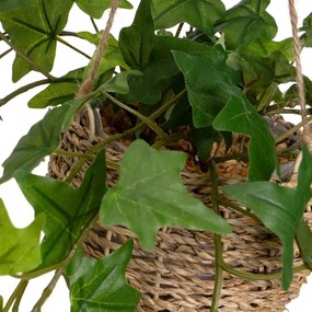 Műnövény szett 2 db-os (magasság 50 cm) – Casa Selección