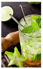 Poszter paszportuval finom  Mojito