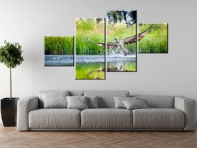 Gario Vászonkép Rétisas vadászik - 4 részes Méret: 160 x 90 cm