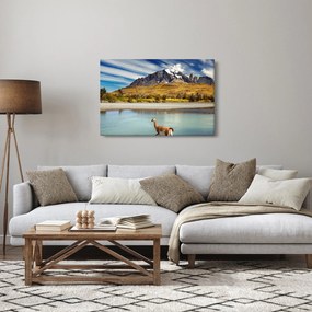 Kép - Torres del Paine Nemzeti Park (90x60 cm)