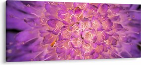 Részletes virágkép (120x50 cm)