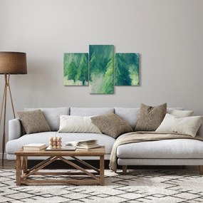 Kép - Festett tűlevelűek (90x60 cm)