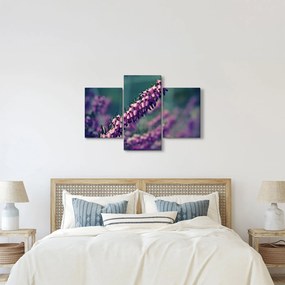 Lila virág képe (90x60 cm)